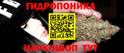 apvp Лесосибирск